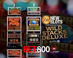 bet800