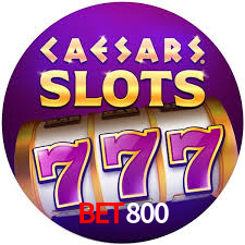 bet800