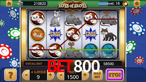 Welcome Bonus bet800