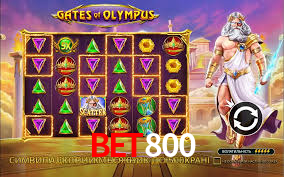 bet800,bet800.com